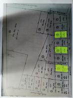 Bos te koop, Immo, Wechelderzande, Verkoop zonder makelaar, 1000 tot 1500 m²
