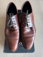 Geklede herenschoen bruin Geox, Kleding | Heren, Schoenen, Bruin, Ophalen of Verzenden, Gedragen, Veterschoenen