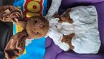 Porte pyjama, Kinderen en Baby's, Babymode-accessoires, Ophalen of Verzenden