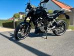 KTM DUKE 125cc full black, Motoren, Motoren | KTM, Particulier
