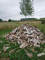 Brandhout, klaar voor gebruik, 6 m³ of meer, Ophalen of Verzenden, Overige houtsoorten, Blokken
