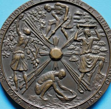 Medaille Bronze ~~ Le Berceau du Kasai ~~ Congo Belge 1956 beschikbaar voor biedingen
