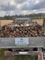 Bois de chauffage sec, Tuin en Terras, 3 tot 6 m³, Ophalen of Verzenden, Beukenhout, Blokken