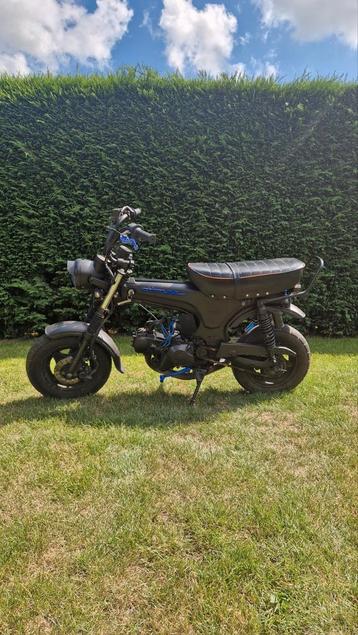 Classe Dax B, Comme neuf, Classe B (45 km/h), Enlèvement, 85 cm³