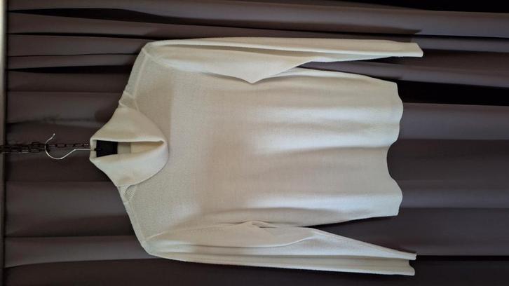 Dames trui met rolkraag wit maat Large uit acryl., Kleding | Dames, Truien en Vesten, Zo goed als nieuw, Maat 42/44 (L), Wit, Ophalen of Verzenden
