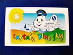 Sabena Sticker #15 Captain Blue Sky Lady Steenokkerzeel B737, Verzamelen, Nieuw, Ophalen of Verzenden