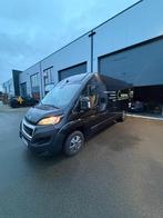 Camionet, Achat, 2 places, Boîte manuelle, Entretenue par le concessionnaire