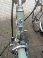 Dames fiets electra, Fietsen en Brommers, Fietsen | Dames | Damesfietsen, Ophalen