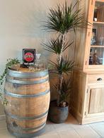 Authentieke & Gebleekte Wijnvaten - Regenton - Decoratie, 150 liter of meer, Ophalen, Gebruikt, Hout