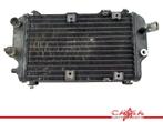 RADIATEUR Kawasaki EL 250 (01-1970/-), Motoren, Gebruikt