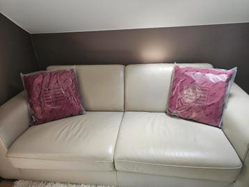 2 coussins NATUZZI en cuir rouge beschikbaar voor biedingen
