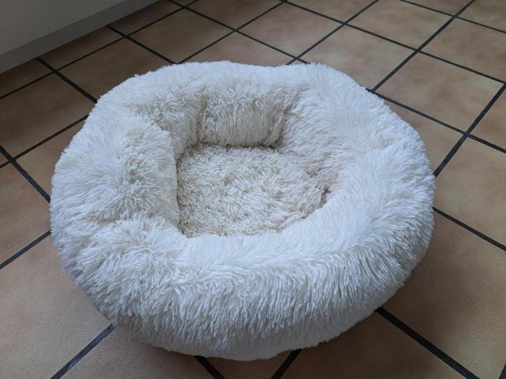 panier pour chien neuf , 50x50x25 cm, Dieren en Toebehoren, Hondenmanden, Nieuw, Overige, Ophalen