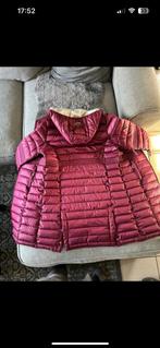 Canadian peak winterjas, Ophalen of Verzenden, Zo goed als nieuw, Maat 38/40 (M)