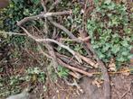Gratis brandhout, Tuin en Terras, Brandhout, Ophalen of Verzenden