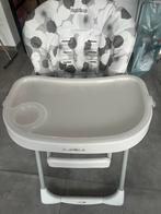 Eetstoel peg pérego, Kinderen en Baby's, Kinderstoelen, Ophalen, Gebruikt
