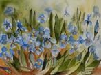 Blauwe Irissen, aquarel 70x50 cm., Ophalen of Verzenden