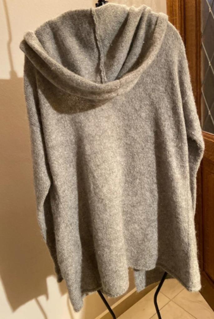 Sarah Pacini, Kleding | Dames, Truien en Vesten, Gedragen, Grijs, Ophalen of Verzenden