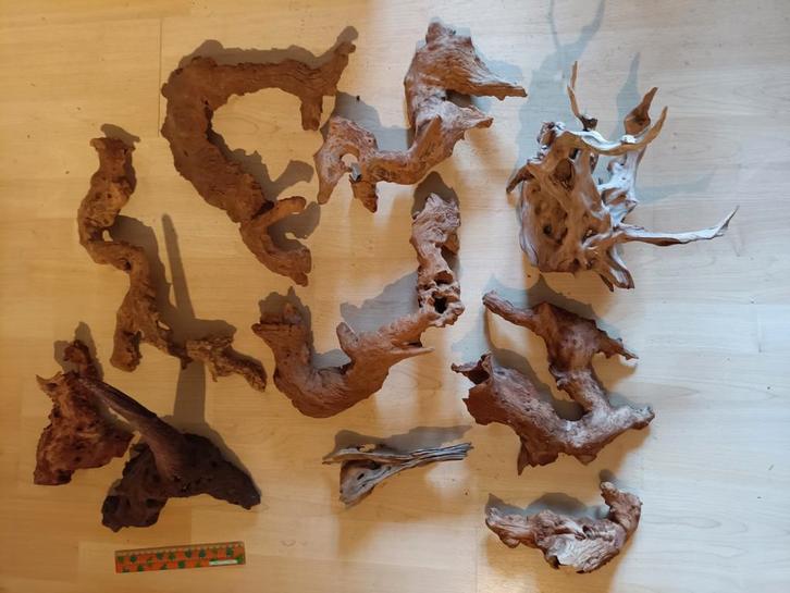 Lot de 10 souches grandes tailles, Animaux & Accessoires, Poissons | Aquariums & Accessoires, Comme neuf, Enlèvement