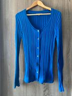 Dunne gilet/trui met knopen XL, Blauw, JBC, Maat 42/44 (L), Ophalen of Verzenden
