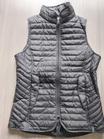 Bodywarmer voor paardrijden (maat 36), Ophalen of Verzenden, Gebruikt, Dames, Bovenkleding