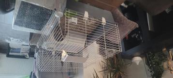 Grande cage neuve dimension 95 cm  55 cm et hauteur 45 cm, Divers, Enlèvement, Neuf