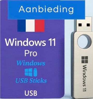 installatie USB Windows 11 PRO  beschikbaar voor biedingen