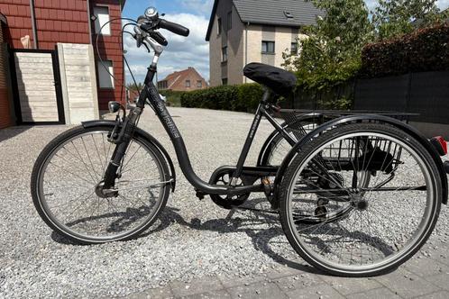 Driewieler ecotrike, Fietsen en Brommers, Fietsen | Driewielfietsen, Gebruikt, Ophalen