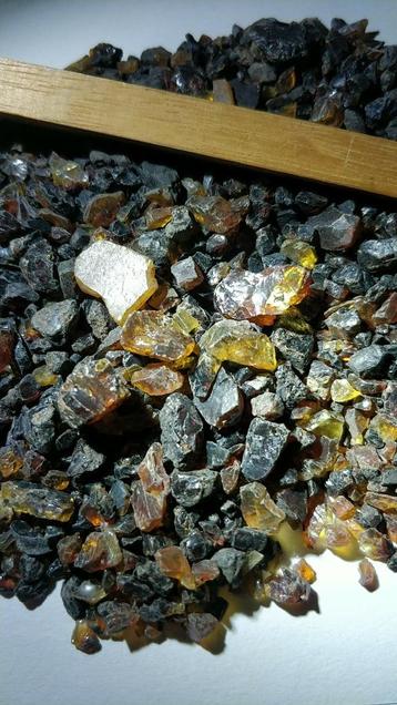 Sumatraans amber beschikbaar voor biedingen
