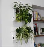 Verticaal plantensysteem Hang Oasi Home (Ortisgreen), Ophalen of Verzenden