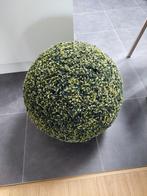 Buxus bol, Tuin en Terras, Ophalen