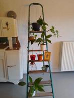 Oude ladder - plantenstandaard - decoratie, Huis en Inrichting, Ophalen, Gebruikt