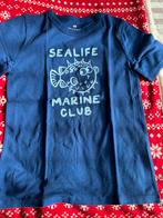 T shirt 122/128 h&m, Kinderen en Baby's, Kinderkleding | Maat 122, Ophalen of Verzenden, Zo goed als nieuw