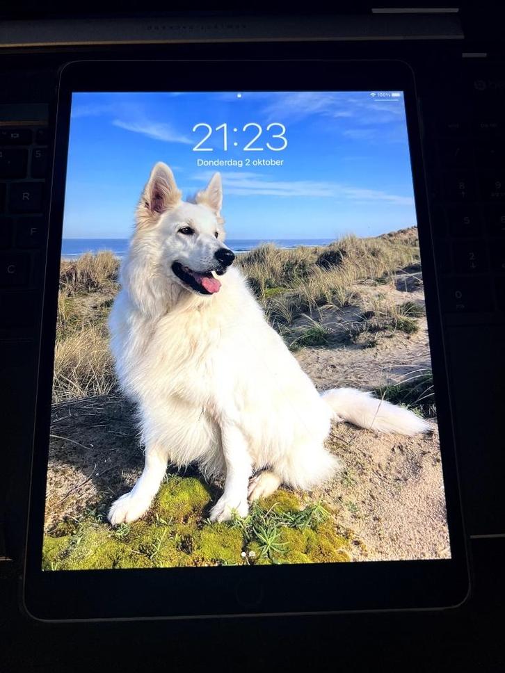 iPad Pro (10.5-inch) Wi-Fi met Apple Pencil, Computers en Software, Apple iPads, Gebruikt, Apple iPad Pro, Wi-Fi, 10 inch, 64 GB