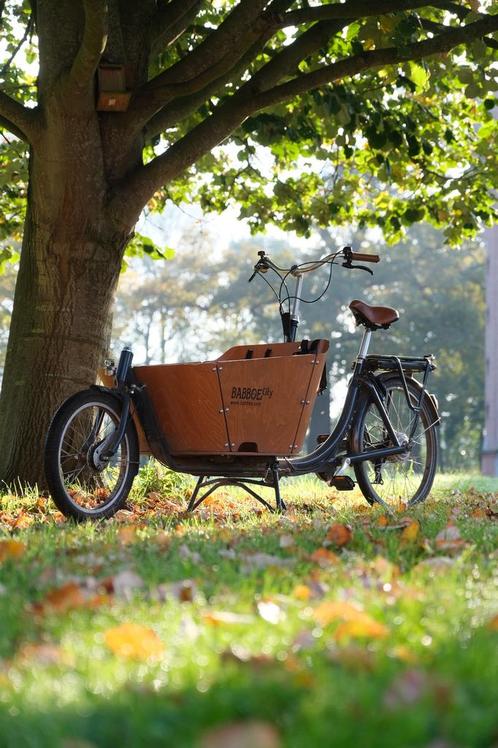 Babboe Bakfiets / Vélo Cargo electrique, Vélos & Vélomoteurs, Vélos | Vélos avec bac, Comme neuf, Autres marques, 2 enfants, Électrique