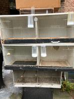 Dit weekend: HOUTEN KWEEKBAKKEN VANAF 5 EURO/STUK, Enlèvement, Utilisé, Bois, Autres types