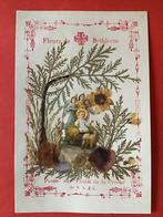 relikwie Gedroogde bloemen van Bethlehem, Ophalen of Verzenden, Bidprentje