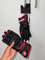 Alpinestars / Ducati Corse Speed EVO C1 gloves, Motoren, Dames, Ophalen of Verzenden, Nieuw zonder kaartje, Alpinestars