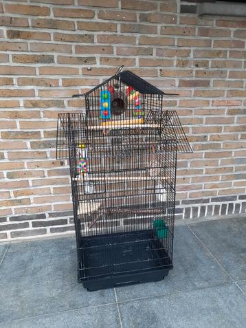 Grote vogelkooi  beschikbaar voor biedingen