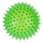 Spiky Bal Large - Groen - Zooplus - Gratis, Ophalen, Zo goed als nieuw, Apporteerspeelgoed