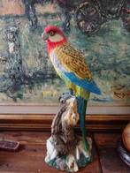 Perroquet coloré et superbement détaillé, H. 36 cm, Collections, Statues & Figurines, Animal, Utilisé, Envoi