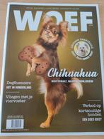 Woof mars 2023 Chihuahua, Enlèvement ou Envoi, Neuf