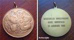 Medaille gewestelijk Ruitertornooi LRV Ussel-Brussegem 1986, Verzenden, Brons