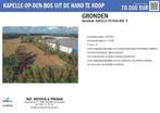 Ramsdonk: 2 percelen landbouwgrond - pachtvrij, Immo, Kapelle op den Bos, 1500 m² of meer
