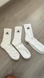 Chaussette blanche adidas, Kleding | Heren, Sokken en Kousen, Nieuw, Maat 43 t/m 46, Wit, Adidas