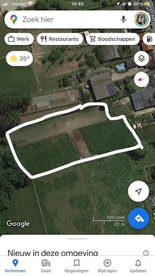 Plek aangeboden op paddock/weide, Dieren en Toebehoren, Stalling en Weidegang