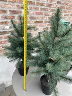 15 x kuststof kerstboompjes, Diversen, Kerst, Ophalen, Zo goed als nieuw