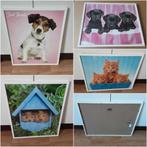kader met poster : poesje/cavia/hondjes, Huis en Inrichting, Ophalen of Verzenden, Nieuw