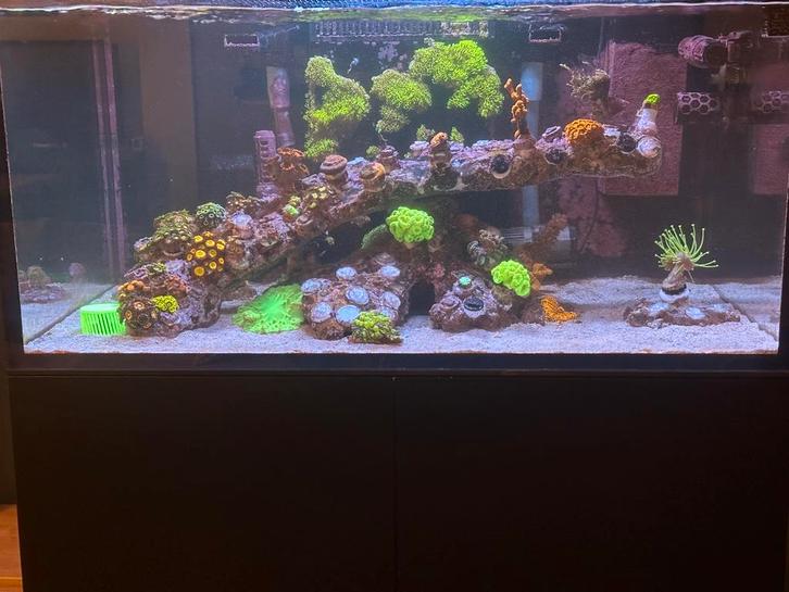 Zeeaquarium Reef Start 90, Dieren en Toebehoren, Vissen | Aquaria en Toebehoren, Zo goed als nieuw, Ophalen