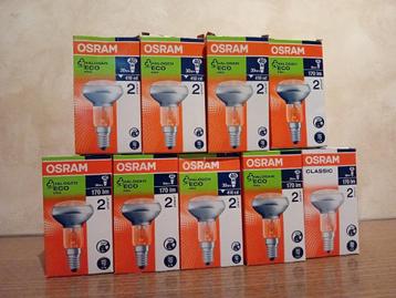 Halogeenlampen beschikbaar voor biedingen