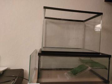 Setje kleine tot middelgrote aquariums  beschikbaar voor biedingen